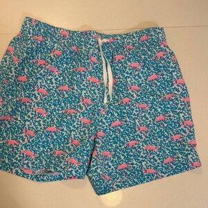 Chubbies Men's Blue and Pink Swim Shorts